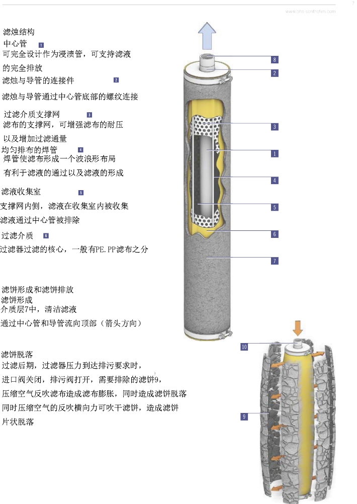 香港小鱼儿资料30码2022